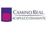 Hotel Camino Real