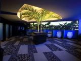 Nisha Acapulco