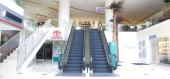 Gallerias Diana Acapulco