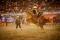 Cuernos Chuecos Rodeo en Acapulco 31/10/10