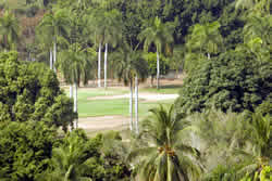 Acapulco Landscape
