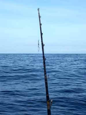 Zihuatanejo Fishing