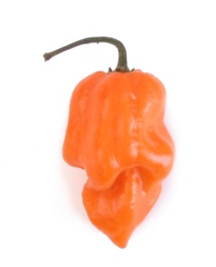 Habanero