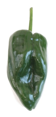 Poblano